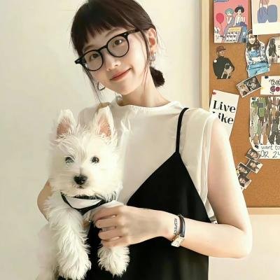 美国派:高潮再起